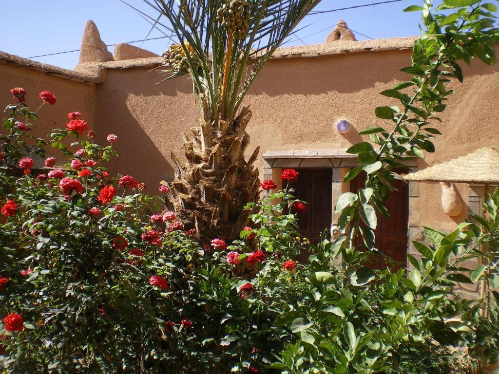 Maison D' Hotes Ait Hmid Nkob Екстериор снимка