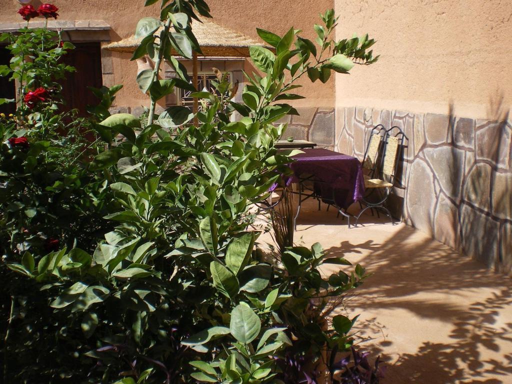 Maison D' Hotes Ait Hmid Nkob Екстериор снимка