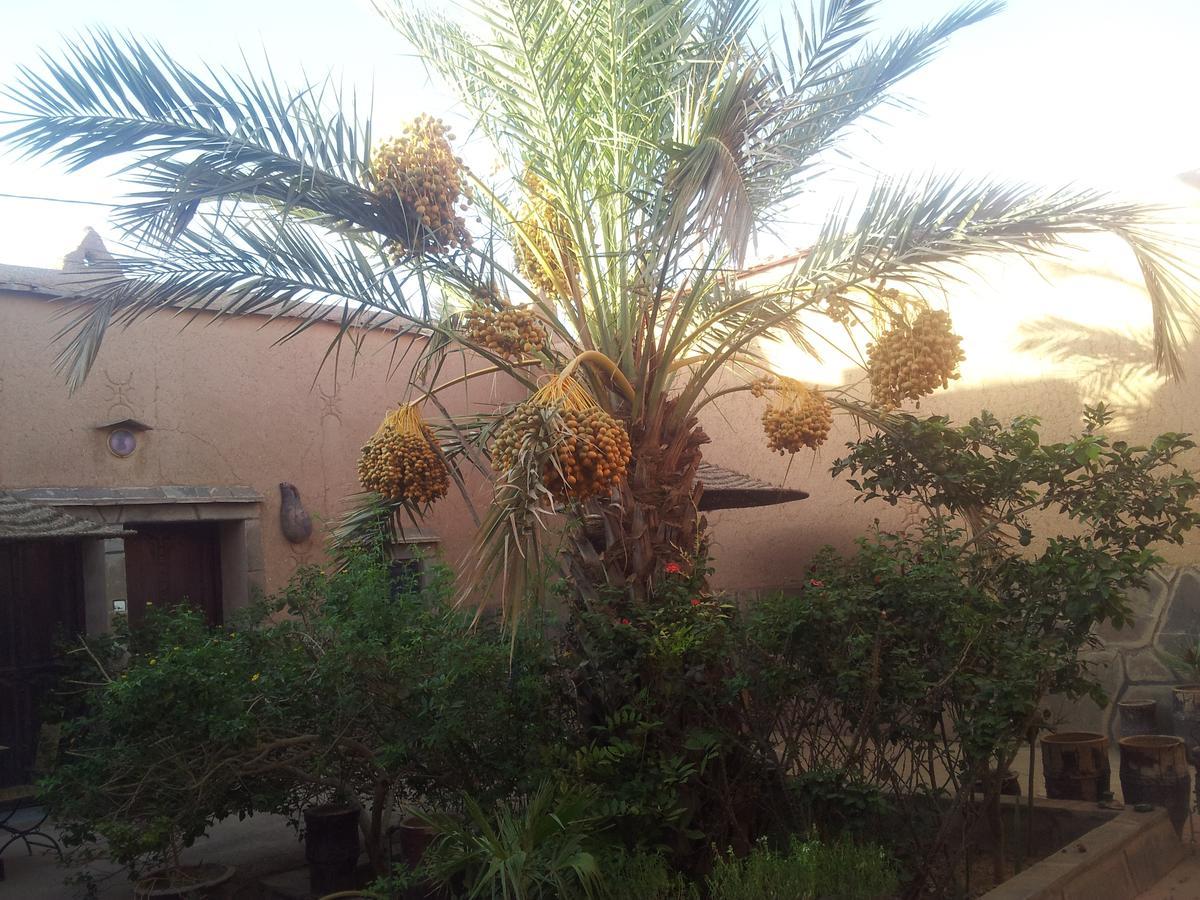 Maison D' Hotes Ait Hmid Nkob Екстериор снимка